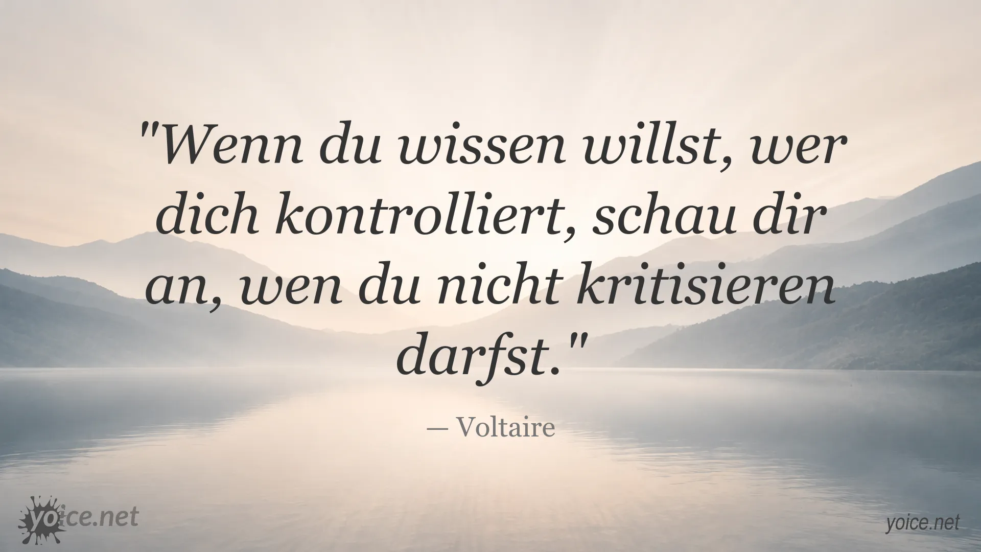 Zitat von Voltaire über Kontrolle und die Bedeutung von Kritik