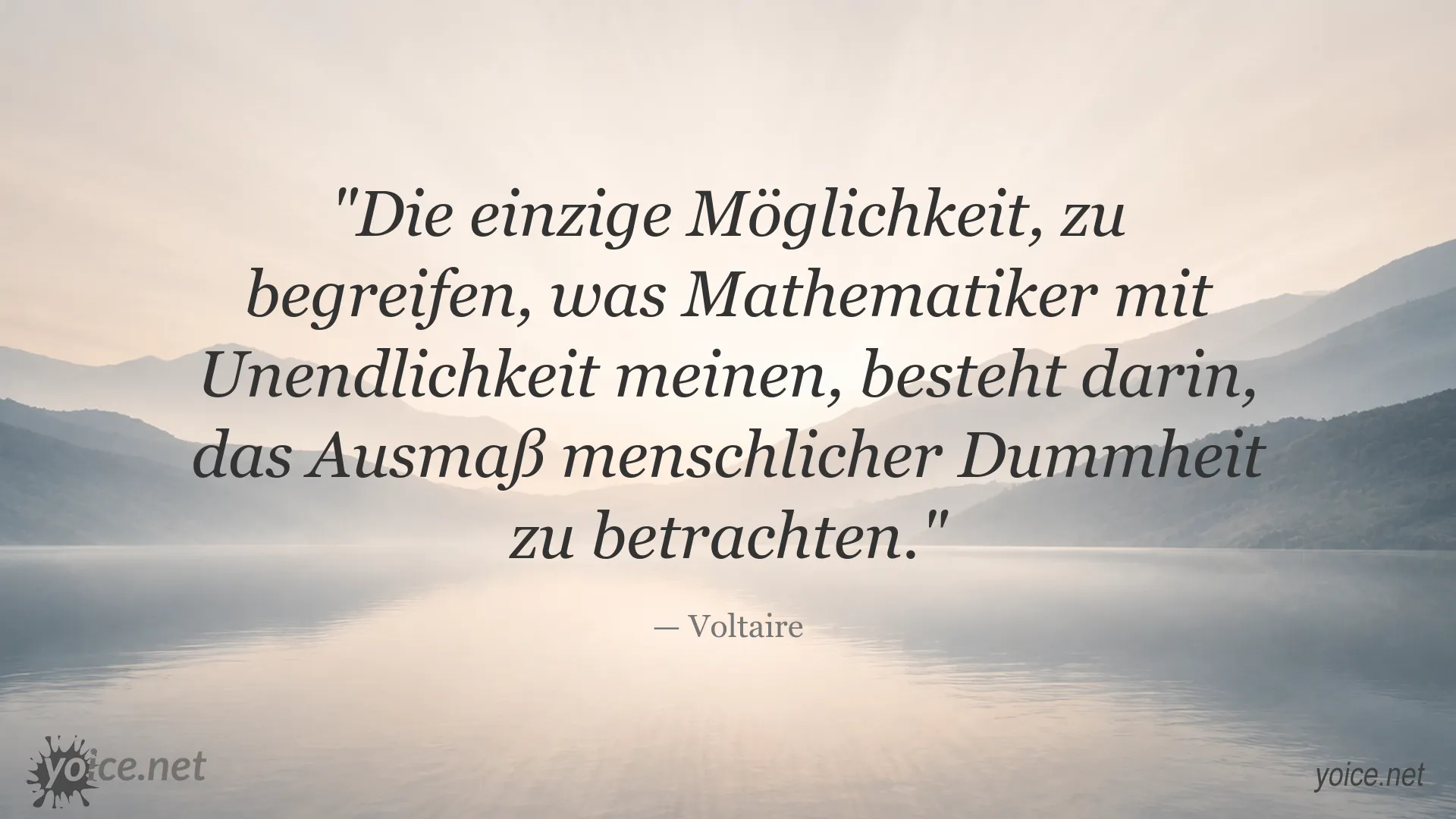 Zitatbild von Voltaire über Unendlichkeit und menschliche Dummheit