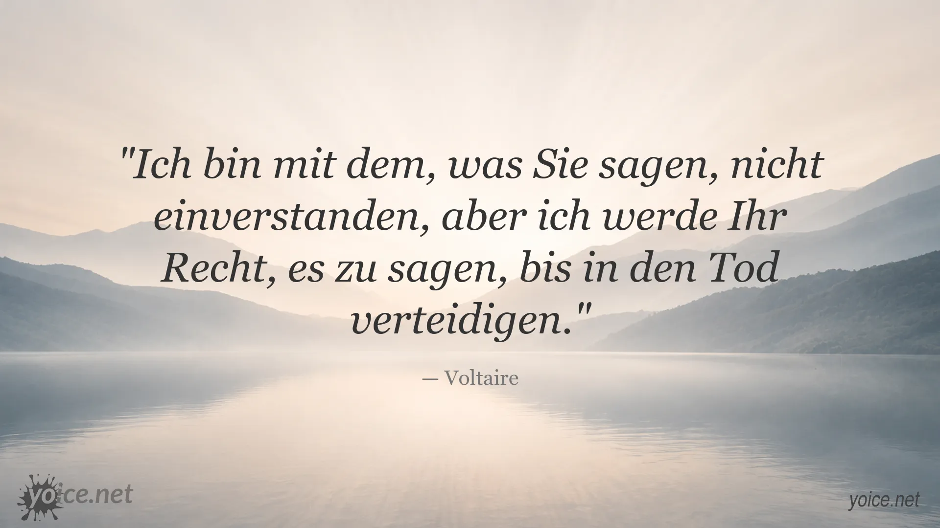 Voltaire Zitat zur Meinungsfreiheit