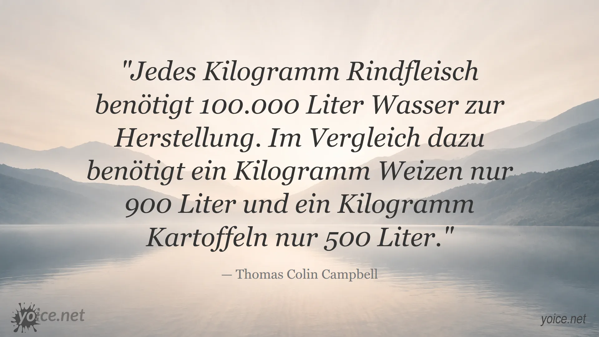 Zitat von Thomas Colin Campbell über den hohen Wasserverbrauch bei der Herstellung von Rindfleisch im Vergleich zu Weizen und Kartoffeln