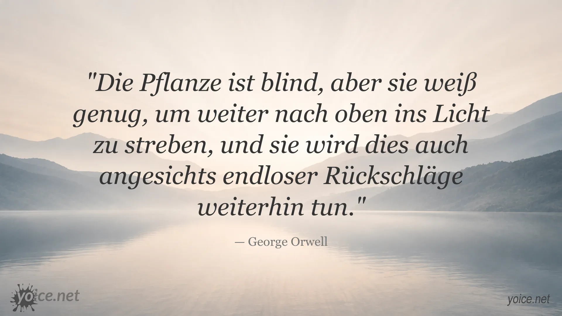 Inspirierendes Zitatbild über Beharrlichkeit von George Orwell