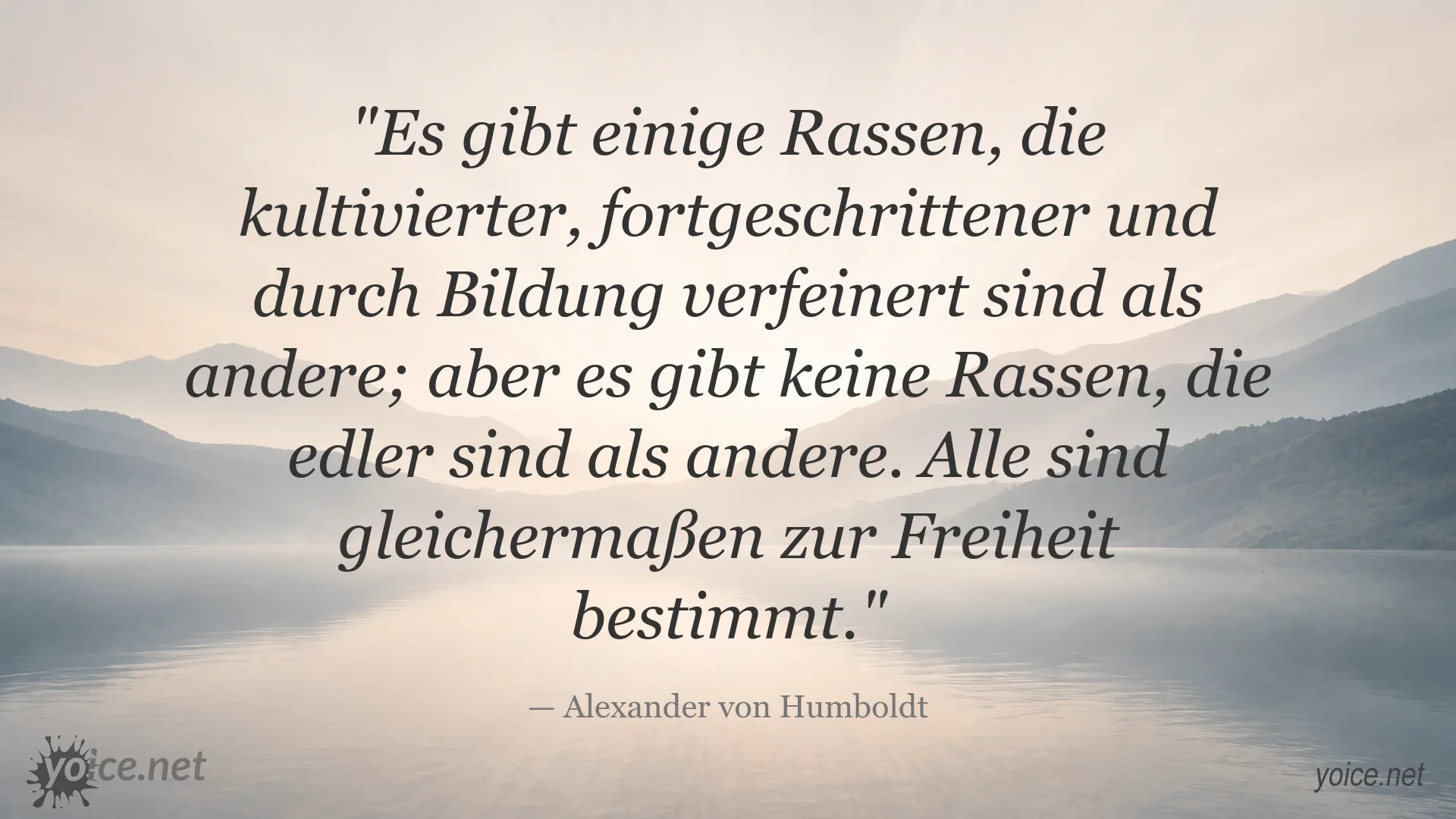 Zitatgrafik von Alexander von Humboldt über Gleichheit, Bildung und Freiheit