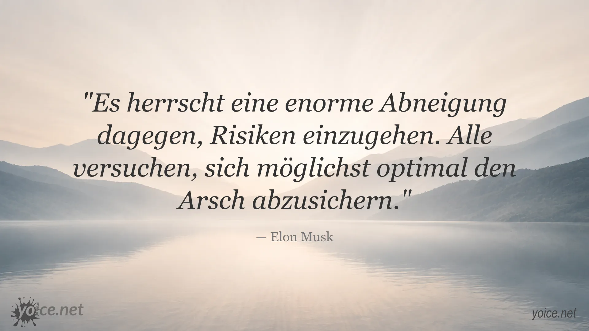 Zitatgrafik mit einem Zitat von Elon Musk über Risikoscheu und Absicherung