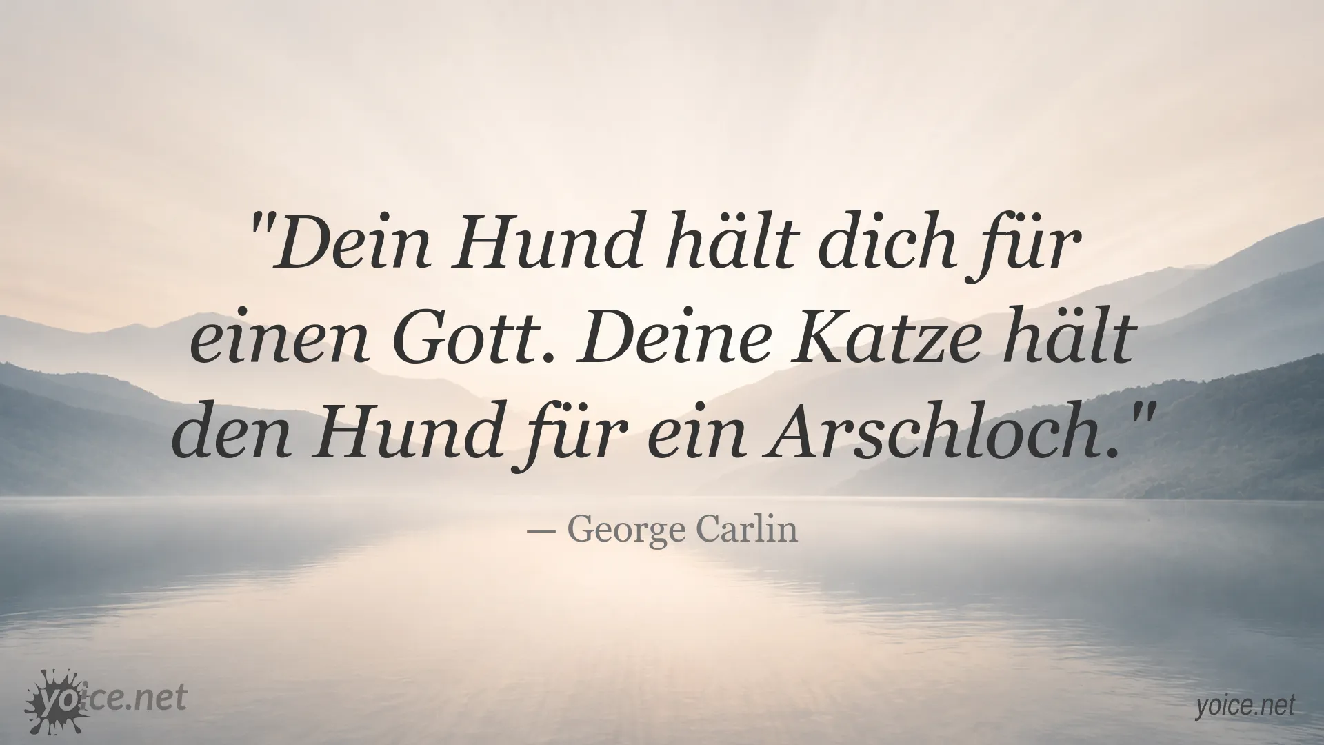 Zitatbild von George Carlin über die unterschiedliche Sichtweise von Hunden und Katzen auf Menschen