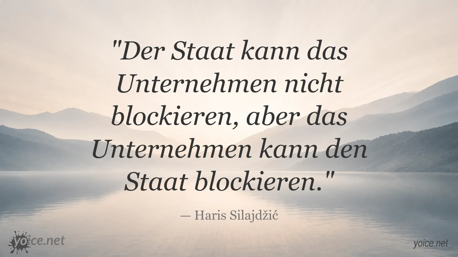 Zitatgrafik von Haris Silajdžić über das Verhältnis von Staat und Unternehmen