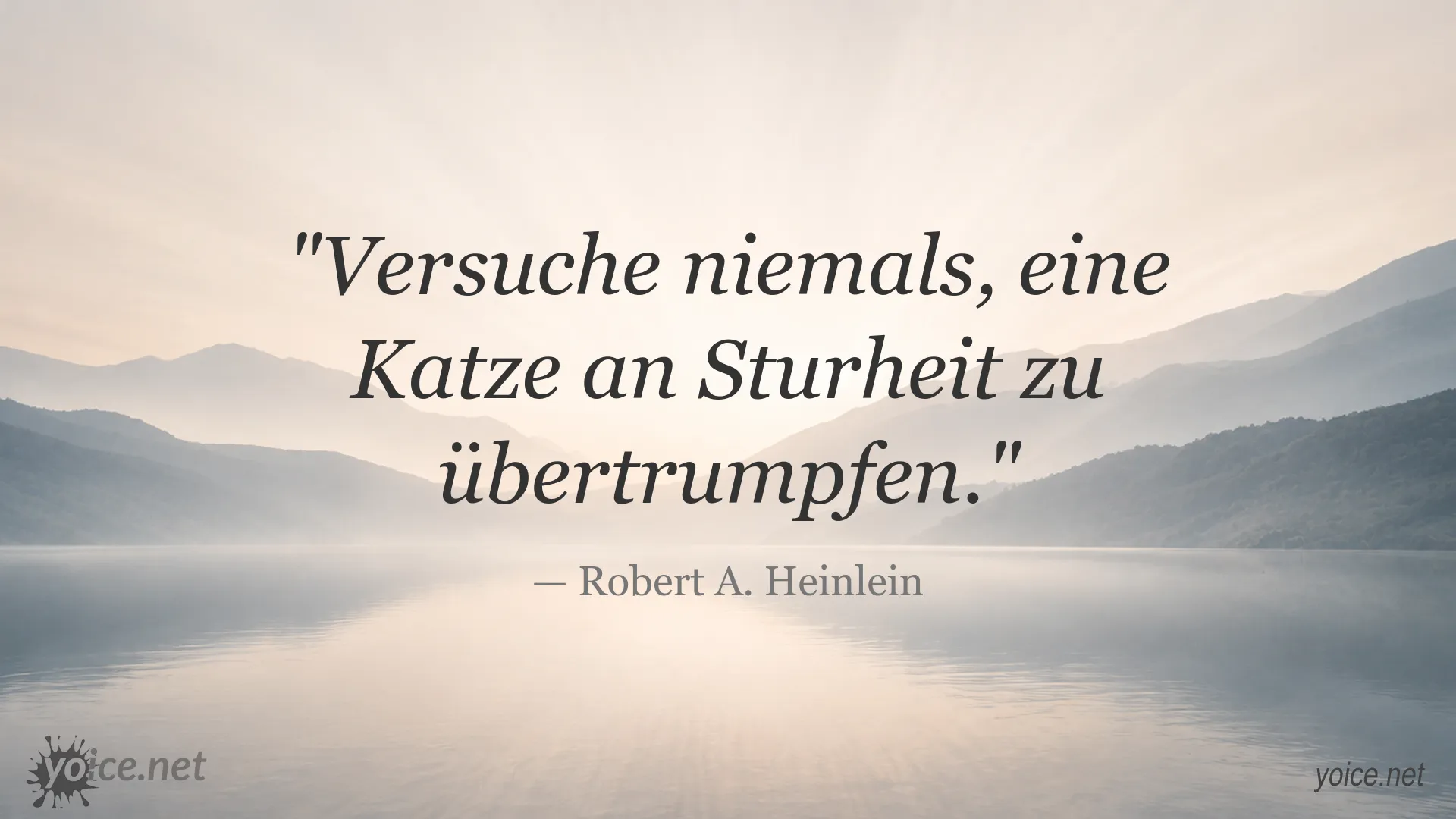 Inspirierendes Zitat von Robert A. Heinlein über Katzen und Sturheit
